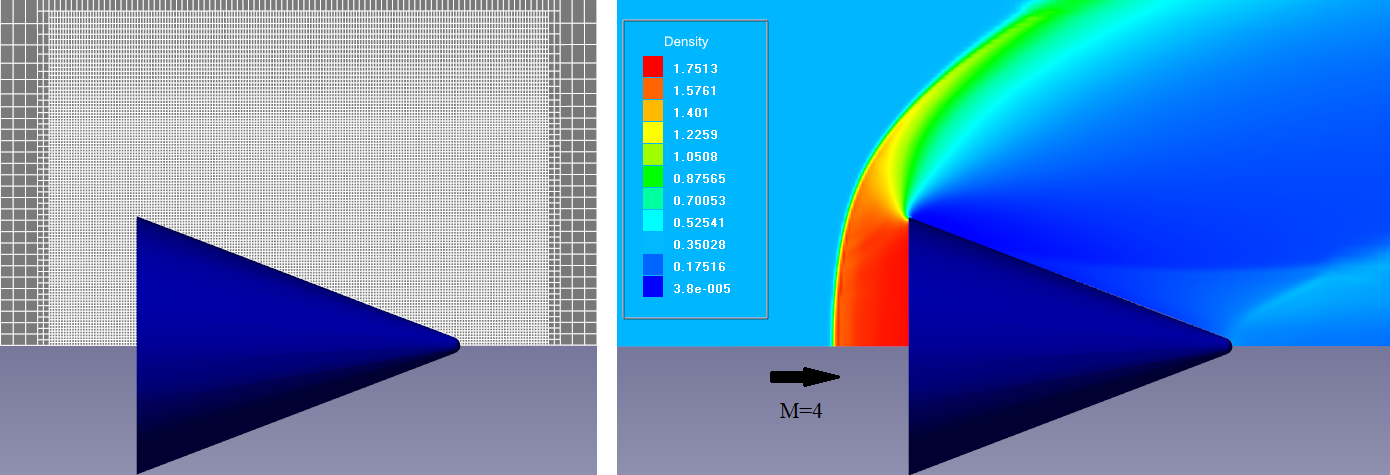 computational grid and density distribution